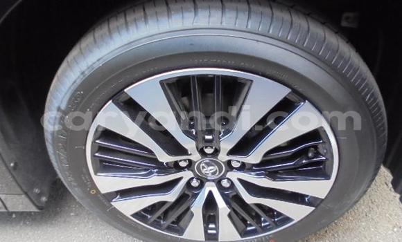 Tenga Tsaru Toyota Alphard Nhema Mota in Livingstone in Zambia Tenga Tsaru Toyota Alphard Nhema Mota in Livingstone in Zambia