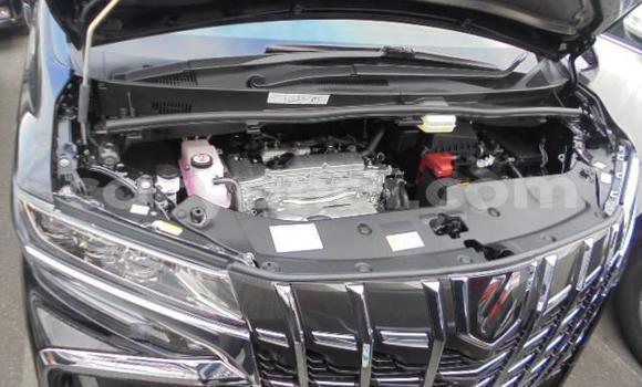 Tenga Tsaru Toyota Alphard Nhema Mota in Livingstone in Zambia Tenga Tsaru Toyota Alphard Nhema Mota in Livingstone in Zambia