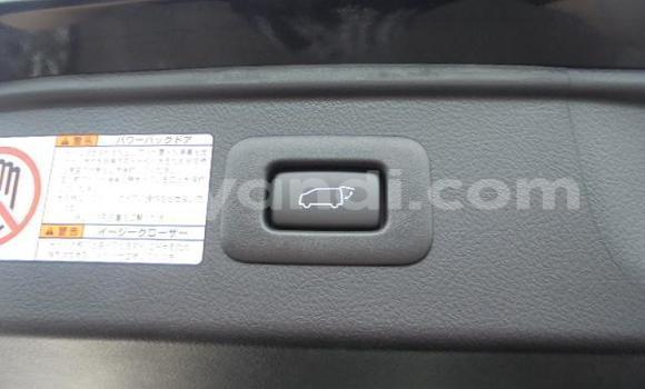 Tenga Tsaru Toyota Alphard Nhema Mota in Livingstone in Zambia Tenga Tsaru Toyota Alphard Nhema Mota in Livingstone in Zambia