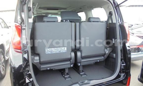 Tenga Tsaru Toyota Alphard Nhema Mota in Livingstone in Zambia Tenga Tsaru Toyota Alphard Nhema Mota in Livingstone in Zambia