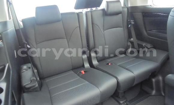 Tenga Tsaru Toyota Alphard Nhema Mota in Livingstone in Zambia Tenga Tsaru Toyota Alphard Nhema Mota in Livingstone in Zambia