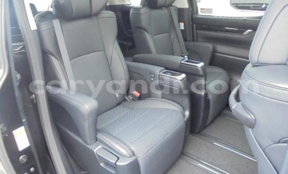 Tenga Tsaru Toyota Alphard Nhema Mota in Livingstone in Zambia Tenga Tsaru Toyota Alphard Nhema Mota in Livingstone in Zambia