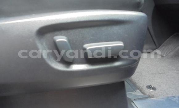 Tenga Tsaru Toyota Alphard Nhema Mota in Livingstone in Zambia Tenga Tsaru Toyota Alphard Nhema Mota in Livingstone in Zambia