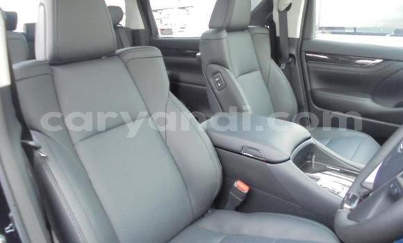 Tenga Tsaru Toyota Alphard Nhema Mota in Livingstone in Zambia Tenga Tsaru Toyota Alphard Nhema Mota in Livingstone in Zambia