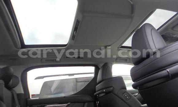 Tenga Tsaru Toyota Alphard Nhema Mota in Livingstone in Zambia Tenga Tsaru Toyota Alphard Nhema Mota in Livingstone in Zambia