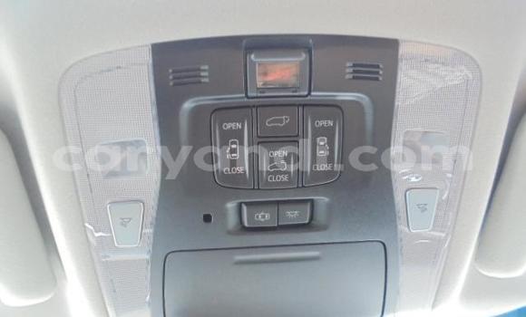 Tenga Tsaru Toyota Alphard Nhema Mota in Livingstone in Zambia Tenga Tsaru Toyota Alphard Nhema Mota in Livingstone in Zambia