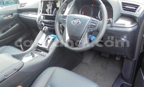 Tenga Tsaru Toyota Alphard Nhema Mota in Livingstone in Zambia Tenga Tsaru Toyota Alphard Nhema Mota in Livingstone in Zambia