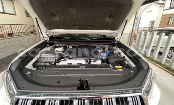 Buy Used Toyota Land Cruiser Prado White Car in Lusaka in Zambia Buy Used Toyota Land Cruiser Prado White Car in Lusaka in Zambia