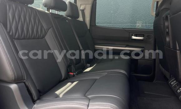 Tenga Tsaru Toyota Tundra Zvimwe Mota in Lusaka in Zambia Tenga Tsaru Toyota Tundra Zvimwe Mota in Lusaka in Zambia