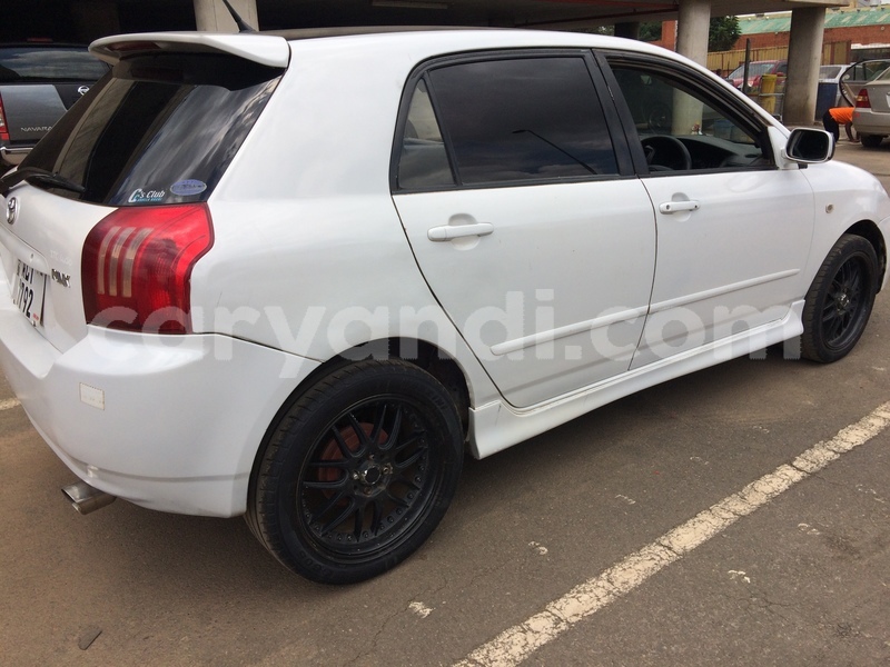 Big with watermark d2d26f51 d6f3 4ad4 93c6 a92d7e64e4b5