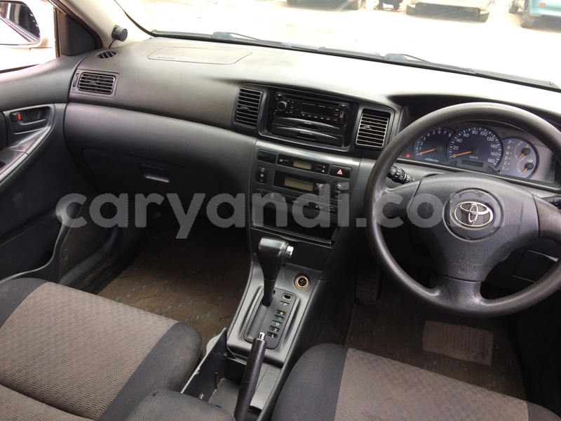 Big with watermark c1a70ff3 f8fc 463a 8673 3ebcec53d290