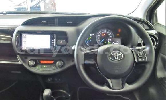 Buy Used Toyota Vitz Red Car in Livingstone in Zambia Buy Used Toyota Vitz Red Car in Livingstone in Zambia
