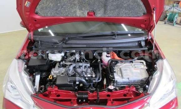 Buy Used Toyota Vitz Red Car in Livingstone in Zambia Buy Used Toyota Vitz Red Car in Livingstone in Zambia