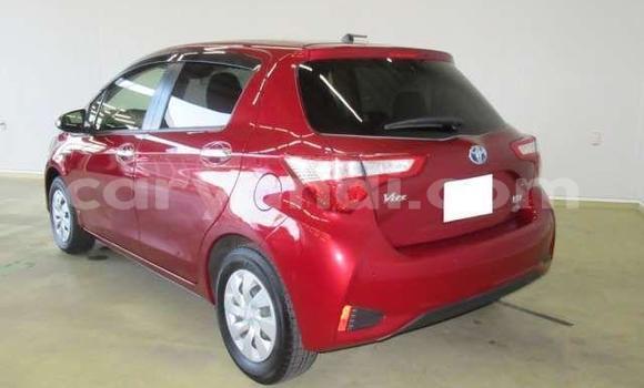 Buy Used Toyota Vitz Red Car in Livingstone in Zambia Buy Used Toyota Vitz Red Car in Livingstone in Zambia