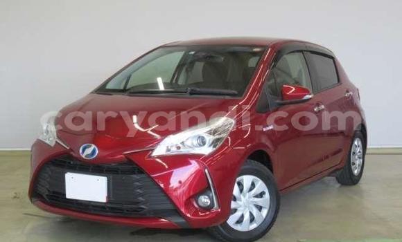 Buy Used Toyota Vitz Red Car in Livingstone in Zambia Buy Used Toyota Vitz Red Car in Livingstone in Zambia