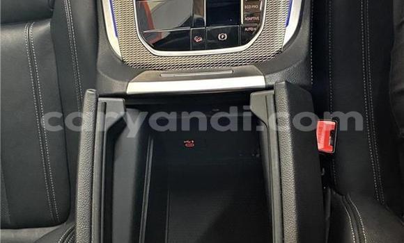 Tenga Tsaru BMW X5 Chena Mota in Lusaka in Zambia Tenga Tsaru BMW X5 Chena Mota in Lusaka in Zambia