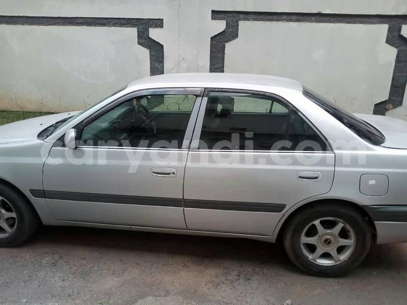 Big with watermark 53160220 2235595146528968 5506018971050049536 n