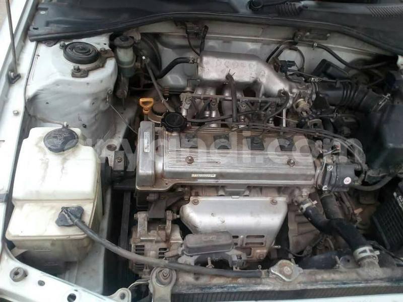 Big with watermark 52605833 2235595216528961 7851177342092181504 n