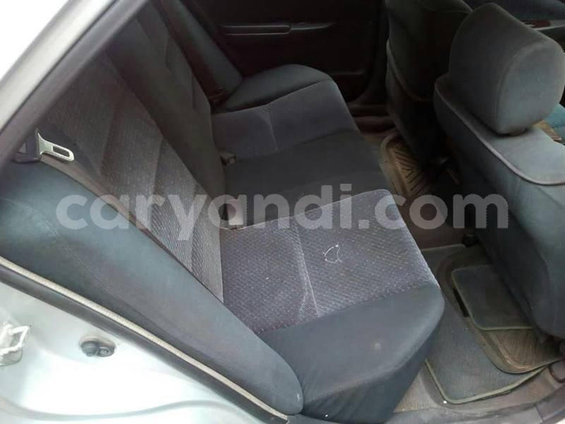 Big with watermark 52590299 2235595123195637 6665516182256222208 n