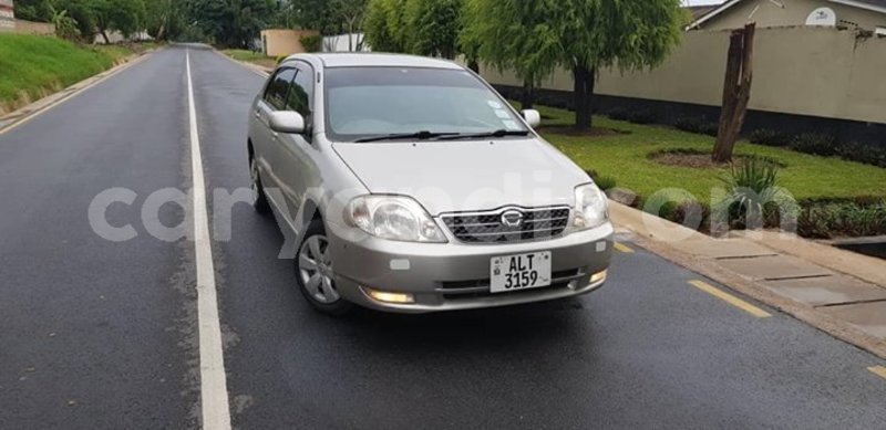 Big with watermark 49292651 2362946517049554 8640497618478170112 o