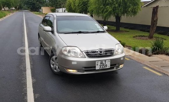 Acheter Occasion Voiture Toyota Corolla Gris à Lusaka, Zambie Acheter Occasion Voiture Toyota Corolla Gris à Lusaka, Zambie