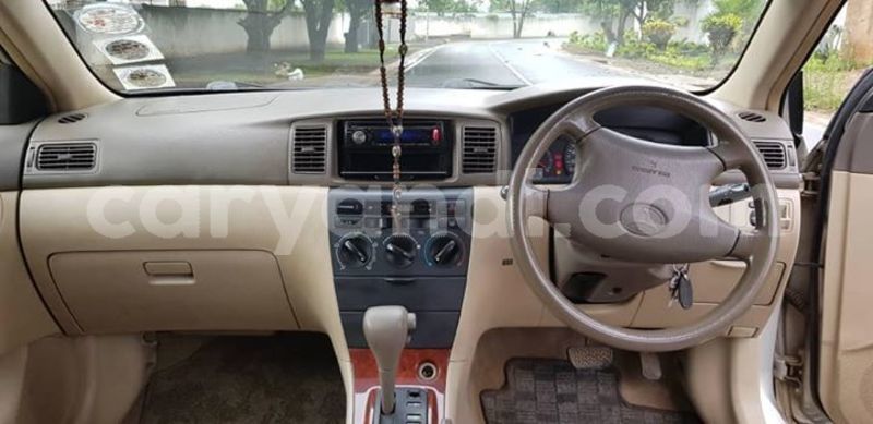 Big with watermark 50218592 2362946603716212 5319789725966401536 o