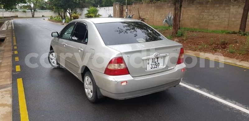 Big with watermark 49852093 2362946557049550 8813629974972989440 o