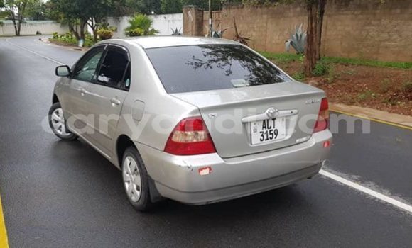 Acheter Occasion Voiture Toyota Corolla Gris à Lusaka, Zambie Acheter Occasion Voiture Toyota Corolla Gris à Lusaka, Zambie