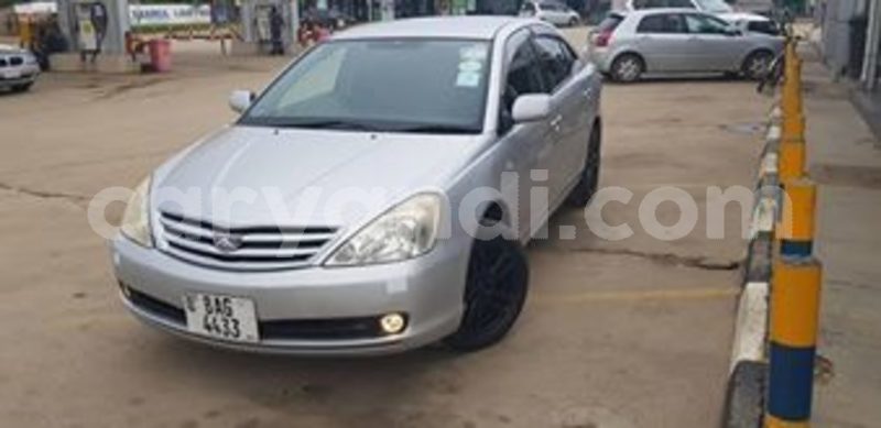 Big with watermark 49840972 2362946687049537 7841970040311119872 n