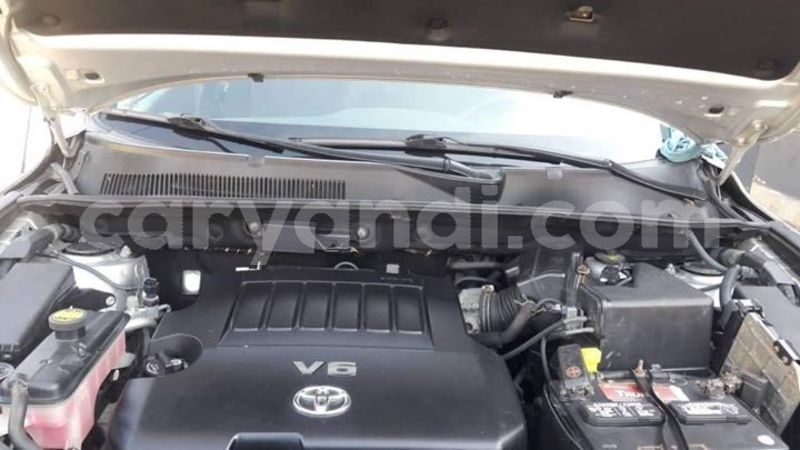 Big with watermark 51193897 607115193070012 3821444694894706688 o