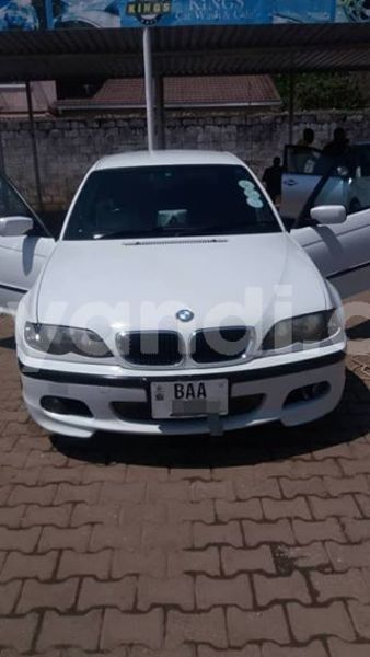 Big with watermark 40358204 526193401162192 6715485837527613440 n