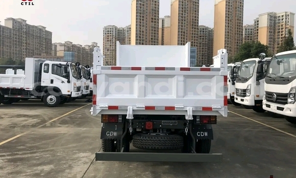 Tenga Tsaru Mitsubishi Fuso Chena Rori in Chilanga in Lusaka Tenga Tsaru Mitsubishi Fuso Chena Rori in Chilanga in Lusaka