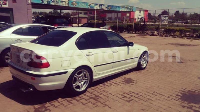 Big with watermark 40407490 526193611162171 1915862366738710528 o