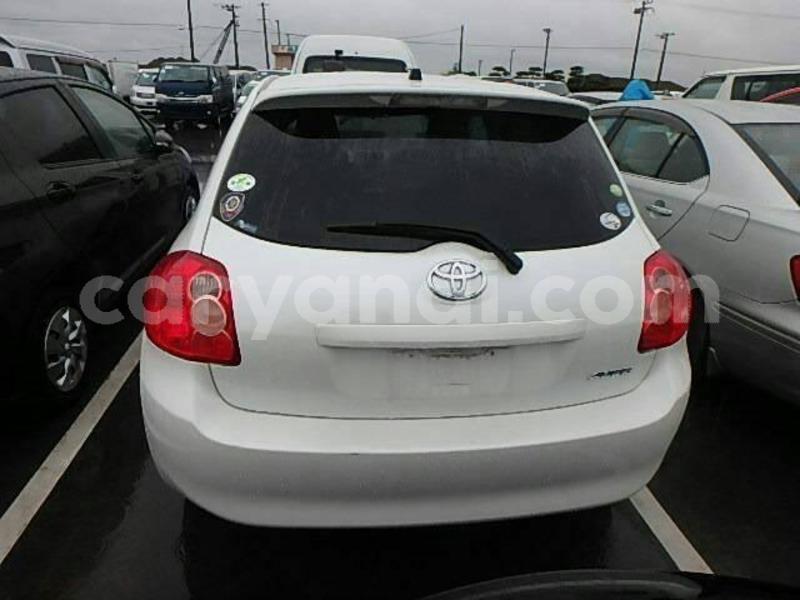 Big with watermark 53400547 180105686293902 5746079296112295936 n