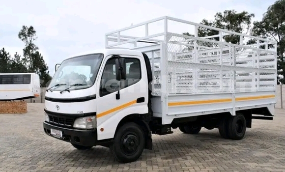 Buy Used Man TGX White Truck in Chilanga in Lusaka