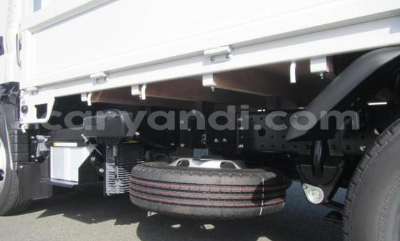 Tenga Tsaru Mitsubishi Canter Chena Rori in Lusaka in Zambia Tenga Tsaru Mitsubishi Canter Chena Rori in Lusaka in Zambia