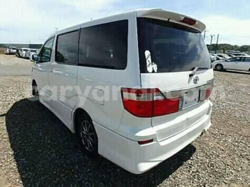 Big with watermark 49329760 161323681505436 2795521138392825856 n