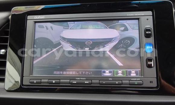 Tenga Tsaru Honda FIT Nhema Mota in Chilanga in Lusaka Tenga Tsaru Honda FIT Nhema Mota in Chilanga in Lusaka