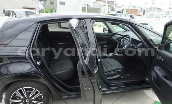 Tenga Tsaru Honda FIT Nhema Mota in Chilanga in Lusaka Tenga Tsaru Honda FIT Nhema Mota in Chilanga in Lusaka