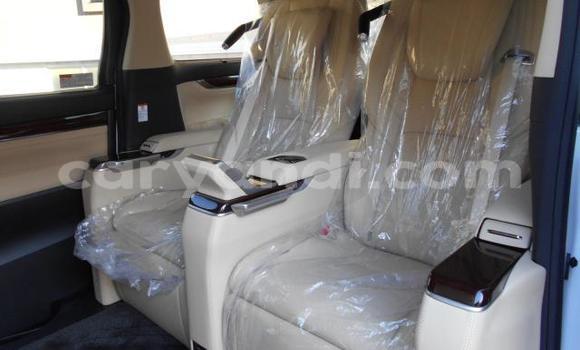 Buy Used Toyota Alphard Other Car in Lusaka in Zambia Buy Used Toyota Alphard Other Car in Lusaka in Zambia