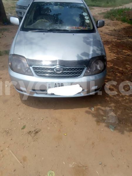 Big with watermark 53283475 2312957328749053 6821282658828419072 n