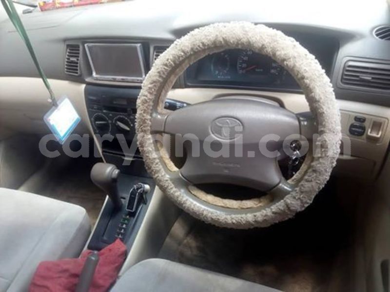 Big with watermark 53067032 2312957278749058 3400779835394490368 n