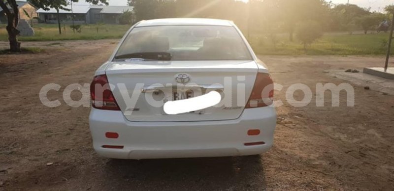 Big with watermark 53032357 2307422825969170 8535492698952433664 o