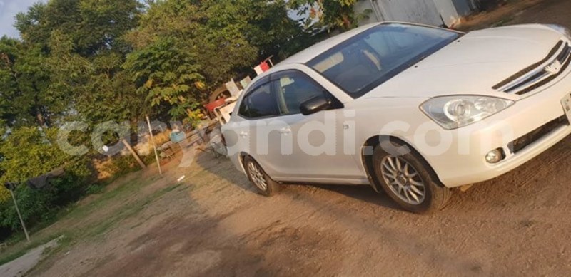 Big with watermark 52932993 2307422789302507 1496273319236730880 o