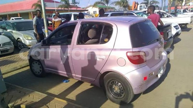 Big with watermark 53279037 2307273242650795 115349756280045568 n