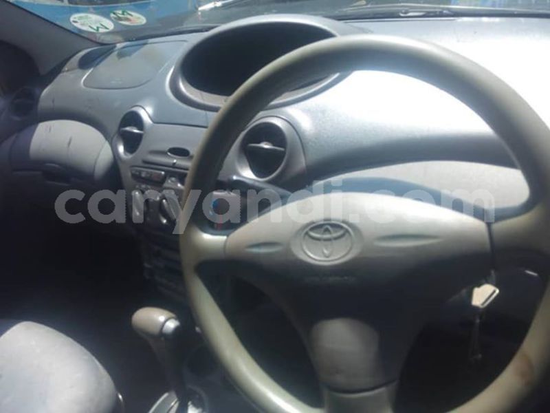 Big with watermark 52816625 2306040506107402 2288701438253072384 n