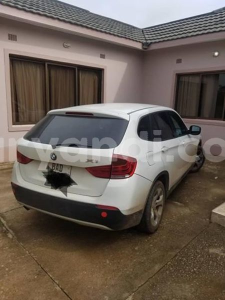 Big with watermark 51849550 2286204548090998 5007914098856296448 n