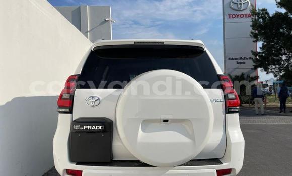 Tenga Tsaru Toyota Prado Chena Mota in Chilanga in Lusaka Tenga Tsaru Toyota Prado Chena Mota in Chilanga in Lusaka