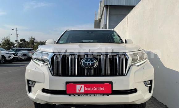 Tenga Tsaru Toyota Prado Chena Mota in Chilanga in Lusaka Tenga Tsaru Toyota Prado Chena Mota in Chilanga in Lusaka