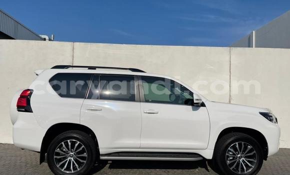 Tenga Tsaru Toyota Prado Chena Mota in Chilanga in Lusaka Tenga Tsaru Toyota Prado Chena Mota in Chilanga in Lusaka